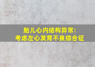 胎儿心内结构异常: 考虑左心发育不良综合征